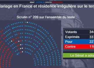 Loi interdisant les mariages avec un étranger en situation irrégulière – Adoptée au Sénat loi-interdisant-les-mariages-avec-un-tranger-en-situation-irrgulire-adopte-au-snat