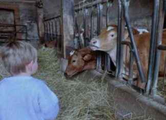 Découvrez Le Jura de ferme en ferme 2025 : Participants et Programme dcouvrez-le-jura-de-ferme-en-ferme-2025-participants-et-programme