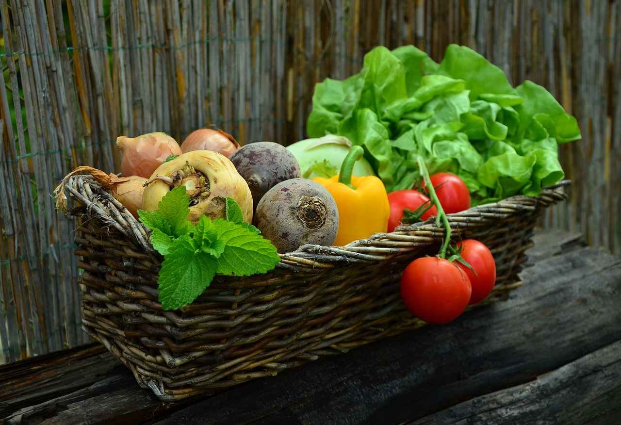 L’Impact sur la Santé des Options Choisies