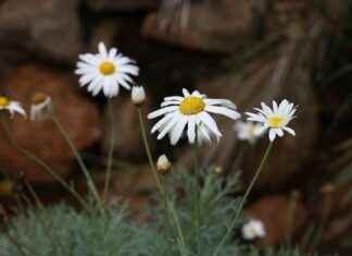 B&B Hotel Paris Ivry Quai De Seine B&B Hotel Paris Ivry Quai De Seine