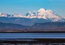 Chez le boulanger : Découverte de Laurent Lachenal à Pessac et du Fournil de Nina à Libération Chez le boulanger : Découverte de Laurent Lachenal à Pessac et du Fournil de Nina à Libération