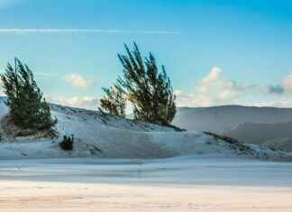 Classement Amiens Sporting Club: Sont-Ils Prêts Pour Une Remontée En Ligue 1 ? Classement Amiens Sporting Club: Sont-Ils Prêts Pour Une Remontée En Ligue 1 ?