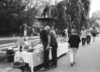 Classement AS Nancy Lorraine: Découvrez La Montée Ou La Chute Du Club En Ligue Classement AS Nancy Lorraine: Découvrez La Montée Ou La Chute Du Club En Ligue