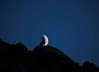 Classement Chamois Niortais Football Club: Peuvent-Ils Éviter La Relégation ? Classement Chamois Niortais Football Club: Peuvent-Ils Éviter La Relégation ?