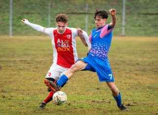 Classement Équipe D’Albanie De Football: Une Nation À Surveiller De Près Classement Équipe D'Albanie De Football: Une Nation À Surveiller De Près