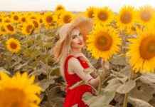 Classement FC Le Mans: La Forme Du Club En Ce Début De Saison Classement FC Le Mans: La Forme Du Club En Ce Début De Saison