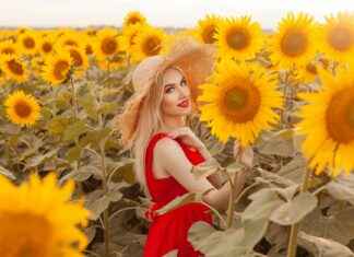 Classement FC Le Mans: La Forme Du Club En Ce Début De Saison Classement FC Le Mans: La Forme Du Club En Ce Début De Saison