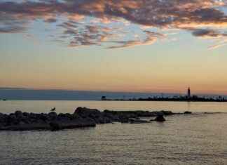 Classement Southampton Football Club: Peuvent-Ils Faire Leur Retour En Premier League ? Classement Southampton Football Club: Peuvent-Ils Faire Leur Retour En Premier League ?