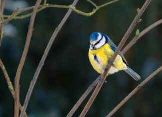 Le Petit Bouillon Pharamond Rue De La Grande Truanderie Paris Le Petit Bouillon Pharamond Rue De La Grande Truanderie Paris