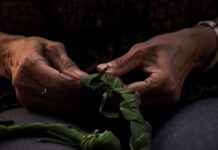 Les meilleurs artisans boulangers : Jocteur de l’Île Barbe, Jean-Luc Pelé, et La P’tite Boulange de Charlotte à Saclay Les meilleurs artisans boulangers : Jocteur de l’Île Barbe, Jean-Luc Pelé, et La P’tite Boulange de Charlotte à Saclay