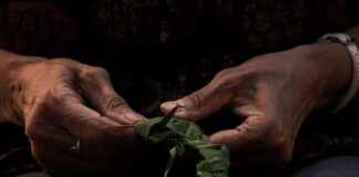 Les meilleurs artisans boulangers : Jocteur de l’Île Barbe, Jean-Luc Pelé, et La P’tite Boulange de Charlotte à Saclay Les meilleurs artisans boulangers : Jocteur de l’Île Barbe, Jean-Luc Pelé, et La P’tite Boulange de Charlotte à Saclay