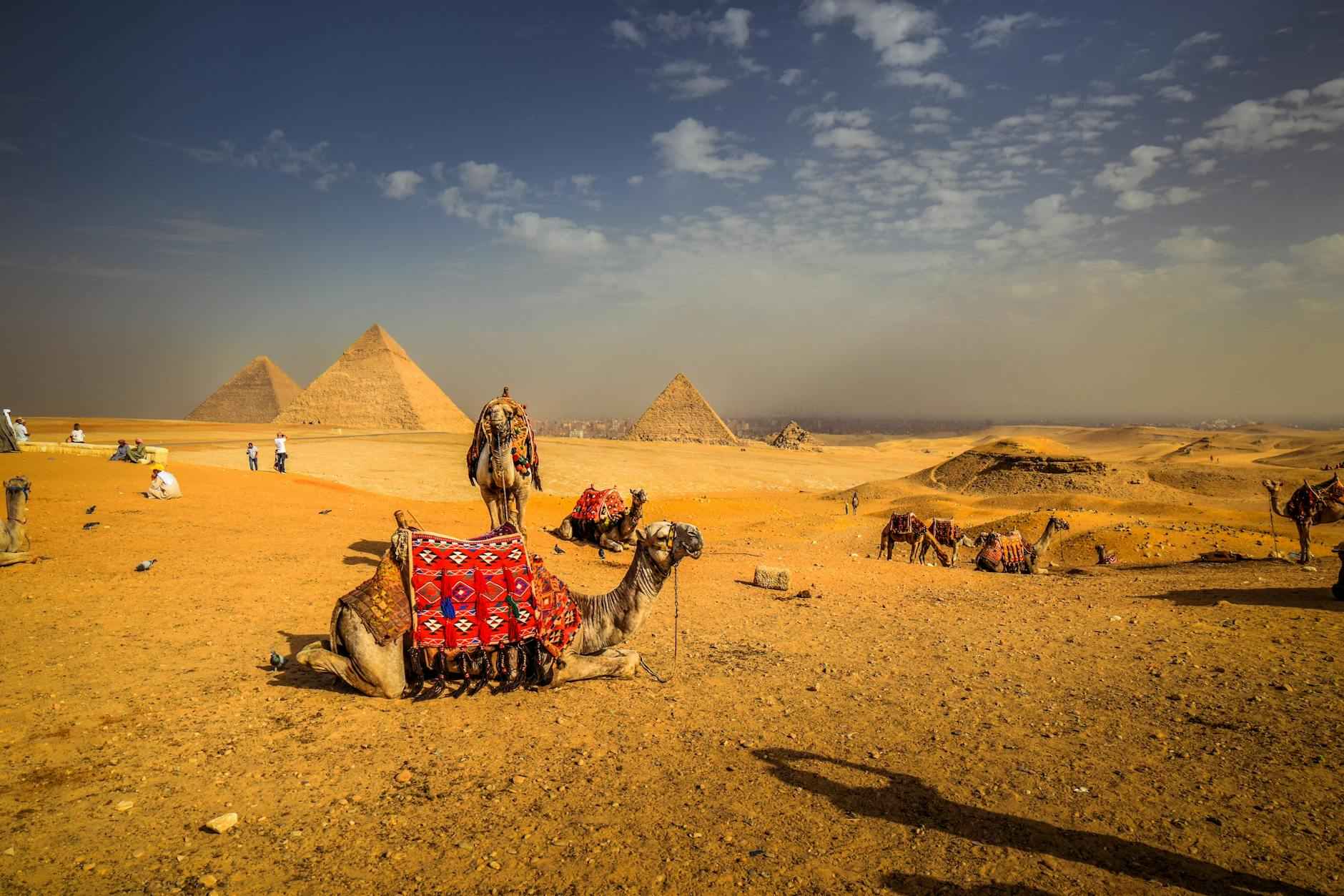 Montchauvet, jardin Anne Frank, sable du Sahara : escapades étonnantes 3 Les dunes de sable du Sahara : un paysage à couper le souffle