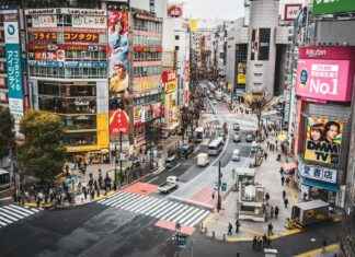 Palais De Tokyo Avenue Du Président Wilson Paris Palais De Tokyo Avenue Du Président Wilson Paris